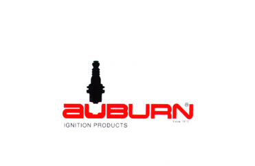 Auburn E5-393D-2PK Electrode Mc Naulin ( 2 Pack )