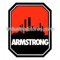 Armstrong Pumps 216945-300 Pressure Relief Valve 1/2"