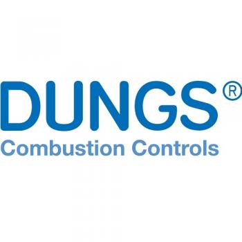 Dungs 231718 Flange 1-1/4" NPT