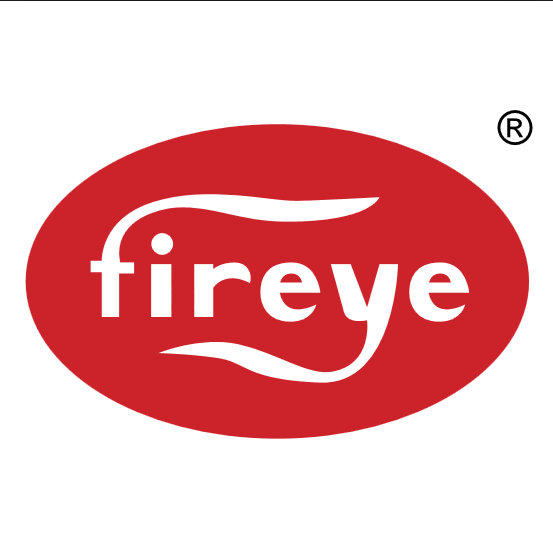 Fireye 35-200 1" WYE (NPT)