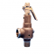 Kunkle 6010JH-E01-LM0150 Bronze Safety Relief Valve with Side Outlet 2" 150 PSI